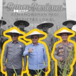 Wakil Gubernur Kalimantan Utara (Kaltara), Ingkong Ala melakukan Panen Perdana Penangkaran Padi Varietas Lokal di Lahan Usaha (LU) 1, Desa Wonomulyo, Tanjung Palas Timur, Rabu (20/8). 